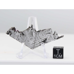 Tranche de météorite Aletaï avec lignes de Widmanstätten (10.05 grammes - Chine - 005**)