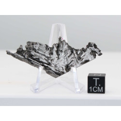 Tranche de météorite Aletaï avec lignes de Widmanstätten (10.05 grammes - Chine - 005**)