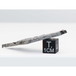 Tranche de météorite Aletaï avec lignes de Widmanstätten (10.05 grammes - Chine - 005**)