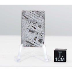 Tranche de météorite Aletaï avec lignes de Widmanstätten (13.70 grammes - Chine - 007**)