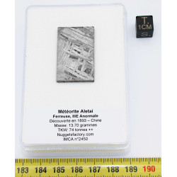 Tranche de météorite Aletaï avec lignes de Widmanstätten (13.70 grammes - Chine - 007**)