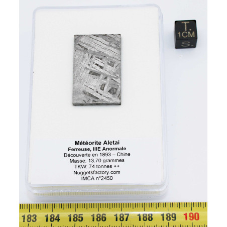 Tranche de météorite Aletaï avec lignes de Widmanstätten (13.70 grammes - Chine - 007**)
