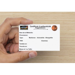 Tranche de Météorite NWA 15016 dans une boite - Martienne Ach Shergottite (Algérie - 0.112 gramme - 027 **)