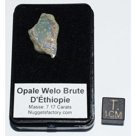 Opale Welo brute dans une boite ( 1.42 gramme - 011**)