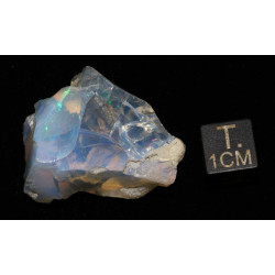 Opale Welo brute dans une boite ( 10.19 grammes - 012**)