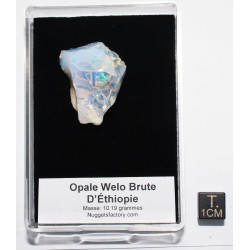Opale Welo brute dans une boite ( 10.19 grammes - 012**)
