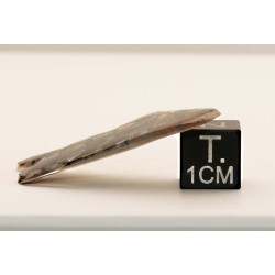 Tranche de Météorite Sericho - Pallasite ( Kenya -  2.30 grammes - 008 ** )