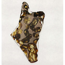 Tranche de Météorite Sericho - Pallasite ( Kenya -  2.30 grammes - 008 ** )