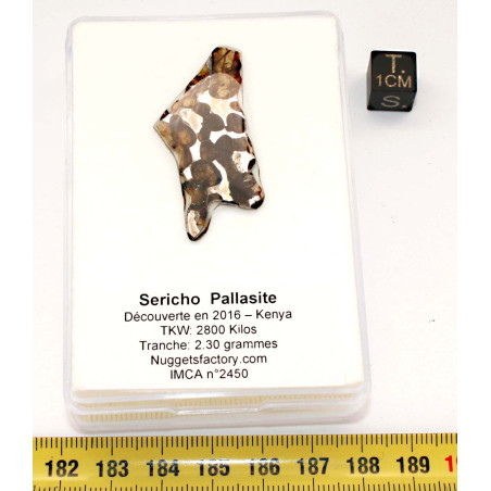 Tranche de Météorite Sericho - Pallasite ( Kenya -  2.30 grammes - 008 ** )