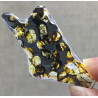 Tranche de Météorite Sericho - Pallasite ( Kenya -  2.30 grammes - 008 ** )