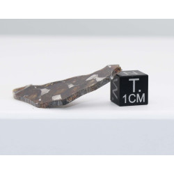 Tranche de Météorite Sericho - Pallasite ( Kenya -  2.35 grammes - 011** )