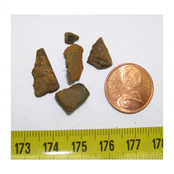 5 Meteorites  Brahin- Pallasite ( 3.0 grs - 6 )