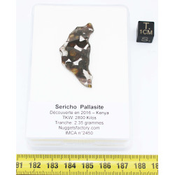 Tranche de Météorite Sericho - Pallasite ( Kenya -  2.35 grammes - 011** )