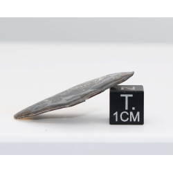 Tranche de Météorite Sericho - Pallasite ( Kenya -  1.95 grammes - 010** )