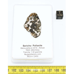 Tranche de Météorite Sericho - Pallasite ( Kenya -  1.95 grammes - 010** )