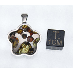 Pendentif Sericho / Pallasite dans une boite (Kenya - 6.15 grammes - 001** )