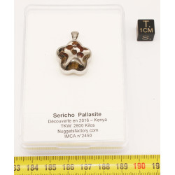 Pendentif Sericho / Pallasite dans une boite (Kenya - 6.15 grammes - 001** )