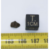 Talon de Météorite Amgala 001 - Martienne Achondrite Shergottite (NWA - 0.184 gramme - 031**)