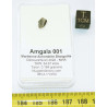 Talon de Météorite Amgala 001 - Martienne Achondrite Shergottite (NWA - 0.184 gramme - 031**)
