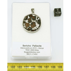 Pendentif Sericho / Pallasite dans une boite (Kenya - 12.65 grammes - 002** )