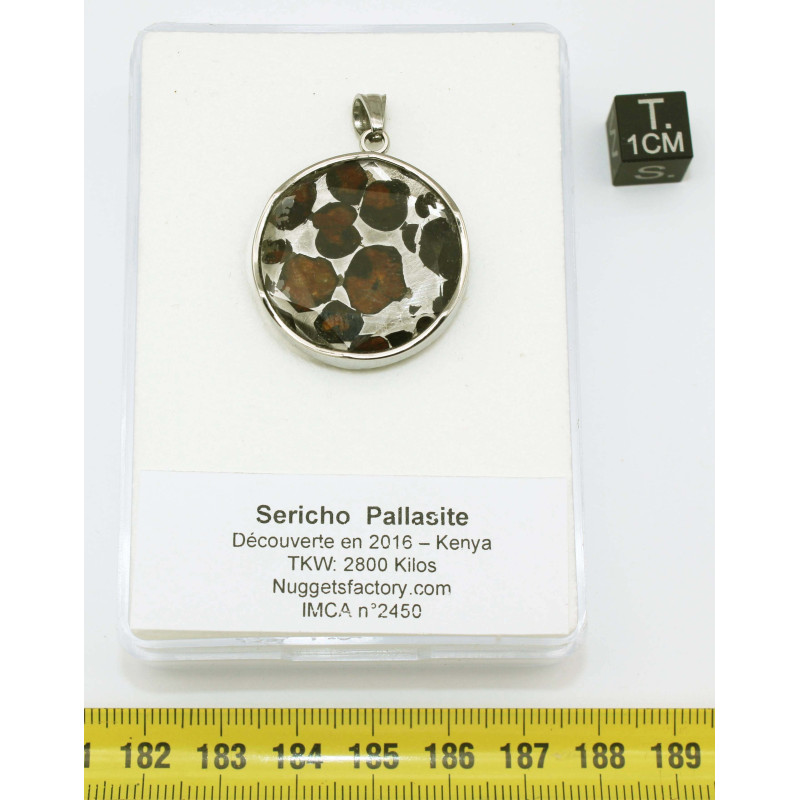 Pendentif Sericho / Pallasite dans une boite (Kenya - 12.65 grammes - 002** )