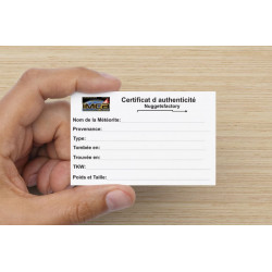 Collection de 18 météorites dans des boites avec un plateau (008 **)