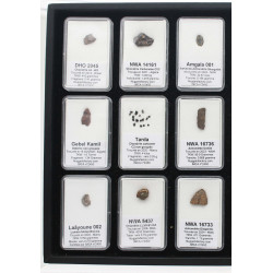 Collection de 18 météorites dans des boites avec un plateau (008 **)