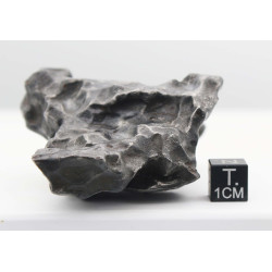 Météorite Sikhote Alin Ocahedrite IIB ( 354 grammes - Russie )