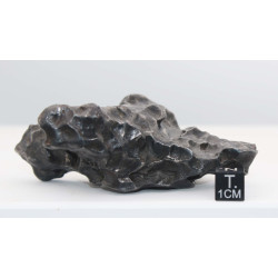 Météorite Sikhote Alin Ocahedrite IIB ( 354 grammes - Russie )