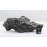 Météorite Sikhote Alin Ocahedrite IIB ( 354 grammes - Russie )