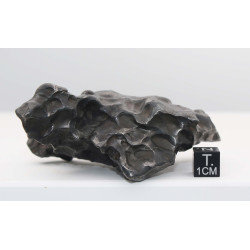 Météorite Sikhote Alin Ocahedrite IIB ( 354 grammes - Russie )