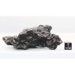 Météorite Sikhote Alin Ocahedrite IIB ( 354 grammes - Russie )