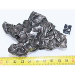 Météorite Sikhote Alin Ocahedrite IIB ( 354 grammes - Russie )