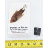 1 Collier pendentif pointe de flèche avec cordon en cuir (Sahara - 011**)