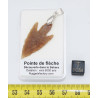 Collier pendentif pointe de flèche avec cordon en cuir (Sahara - 013**)