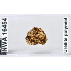 Lame mince de météorite NWA 16454 - Ureilite Pmict (NWA - 058*)
