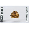 Lame mince de météorite NWA 16454 - Ureilite Pmict (NWA - 058*)