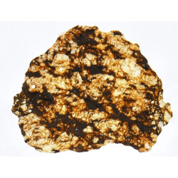 Lame mince de météorite NWA 16454 - Ureilite Pmict (NWA - 058*)