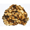 Lame mince de météorite NWA 16454 - Ureilite Pmict (NWA - 058*)