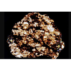 Lame mince de météorite NWA 16454 - Ureilite Pmict (NWA - 058*)