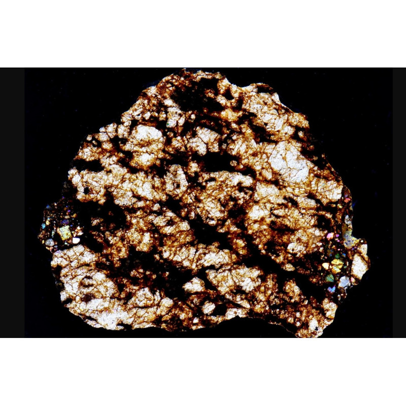 Lame mince de météorite NWA 16454 - Ureilite Pmict (NWA - 058*)