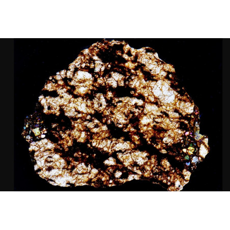 Lame mince de météorite NWA 16454 - Ureilite Pmict (NWA - 058*)