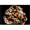 Lame mince de météorite NWA 16454 - Ureilite Pmict (NWA - 058*)