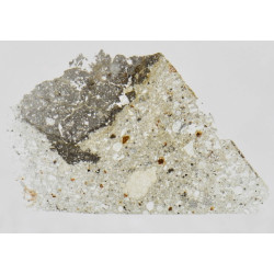 Lame mince de météorite NWA 17153 - Eucrite Polymict (NWA - 059*)