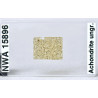 Lame mince de météorite NWA 15896 - Achondrite ungrouped (NWA - 061*)