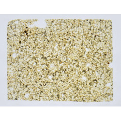 Lame mince de météorite NWA 15896 - Achondrite ungrouped (NWA - 061*)
