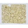 Lame mince de météorite NWA 15896 - Achondrite ungrouped (NWA - 061*)