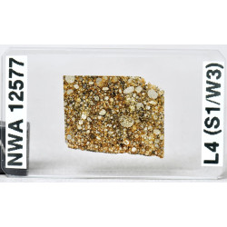 Lame mince de météorite NWA 12577  - Chondrite L4 (NWA - 062*)