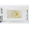 Lame mince de météorite NWA 13787 - Achondrite eucrite (NWA - 064*)