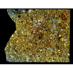 Lame mince de météorite NWA 17584 Rumuruti R3-6 (NWA - 065*)